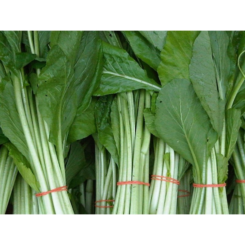 

Sawi Ijo Cesim 500 gram fresh