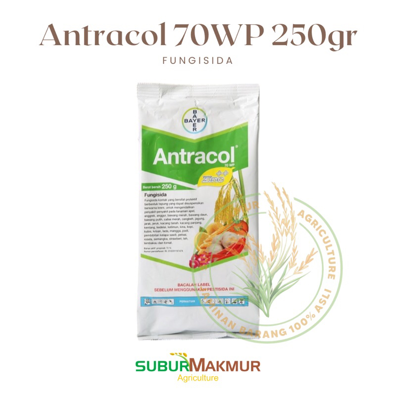 Antracol 70WP 250gram
