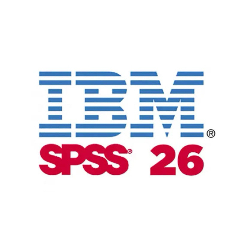 

File SPSS 26