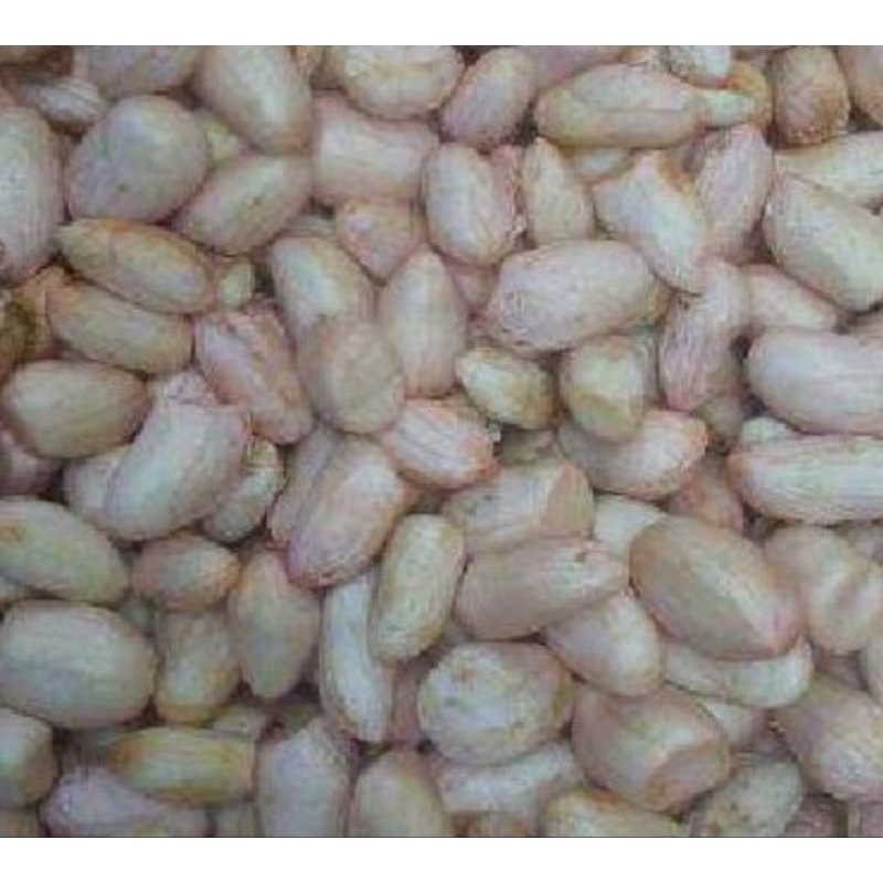

Kacang Tanah Kupas