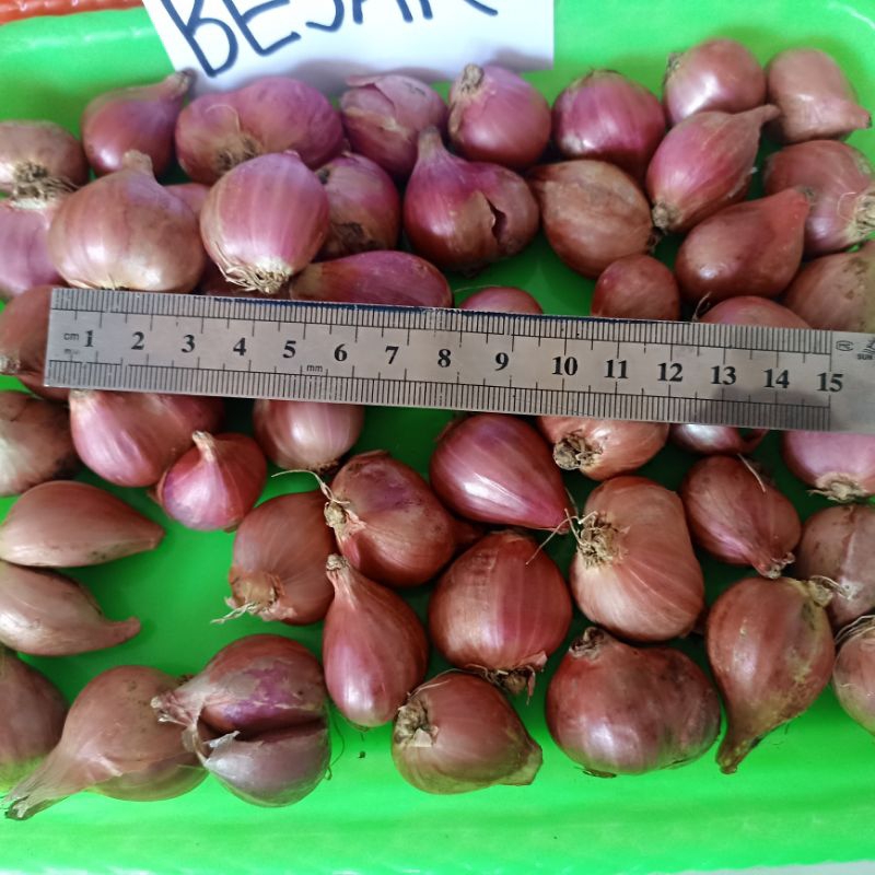 

BAWANG MERAH SUPER UKURAN BESAR KEMASAN 500 GRAM (½ KG)
