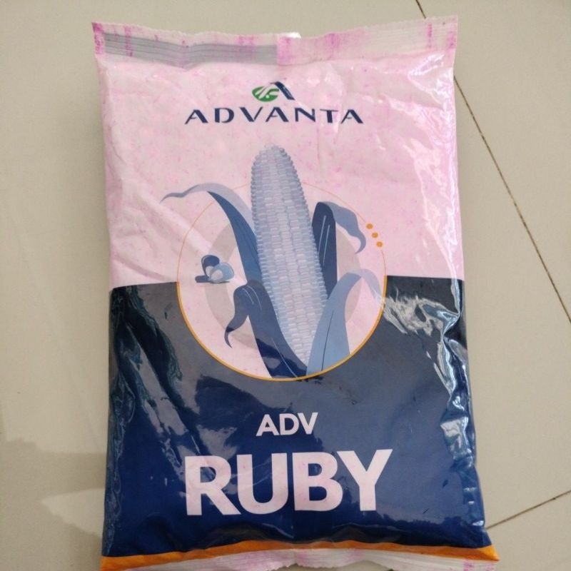 benih JAGUNG ADVANTA RUBY 1kg