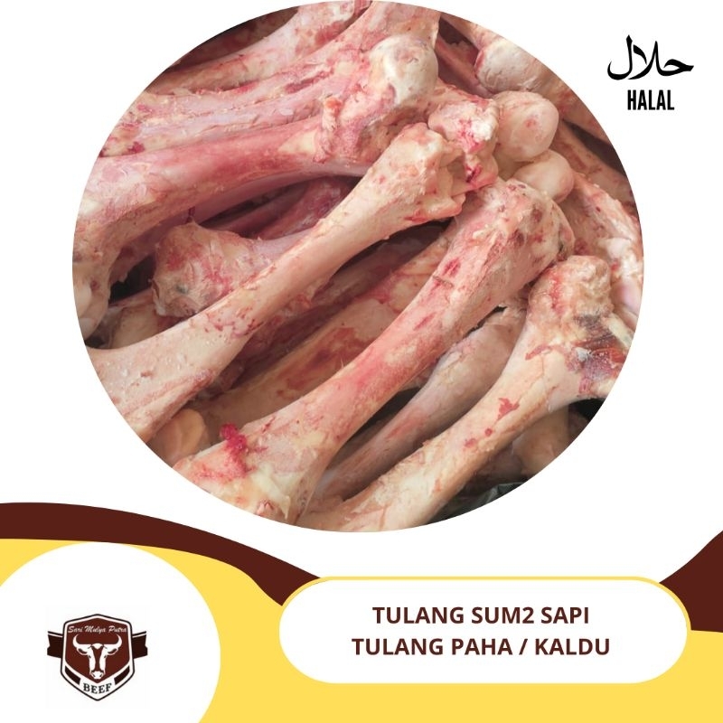 

tulang sum sum / sum sum sapi / tulang skengkel / tulang kaldu / potong