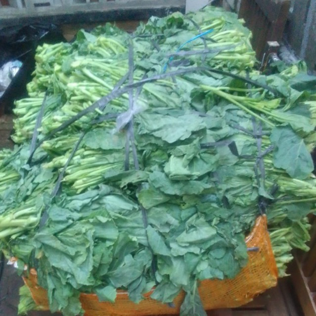 

Sayur Kaylan