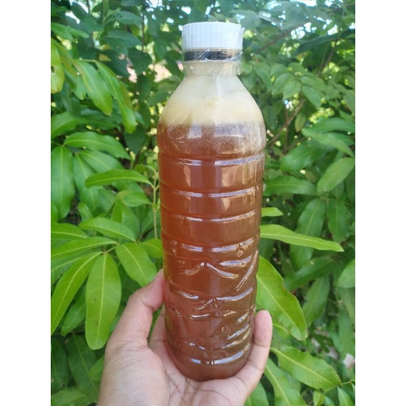 

madu hutan ampana sulteng asli murni (600ml)