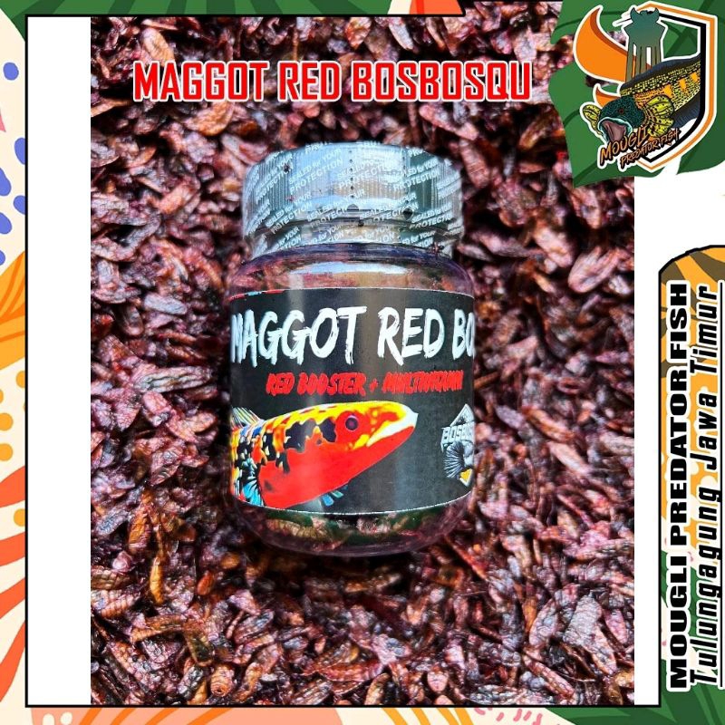 (mouglifish) MAGGOT RED (MERAH) @BOS BOS QU GRADE A+ FREE STIKER ( NEW FORMULA) 30 GRAM