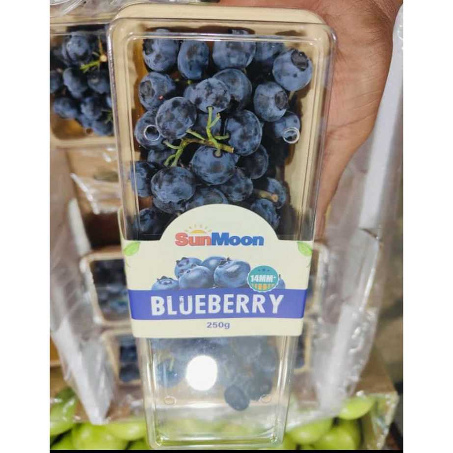 

Buah Blueberry Segar | Fresh Blueberry