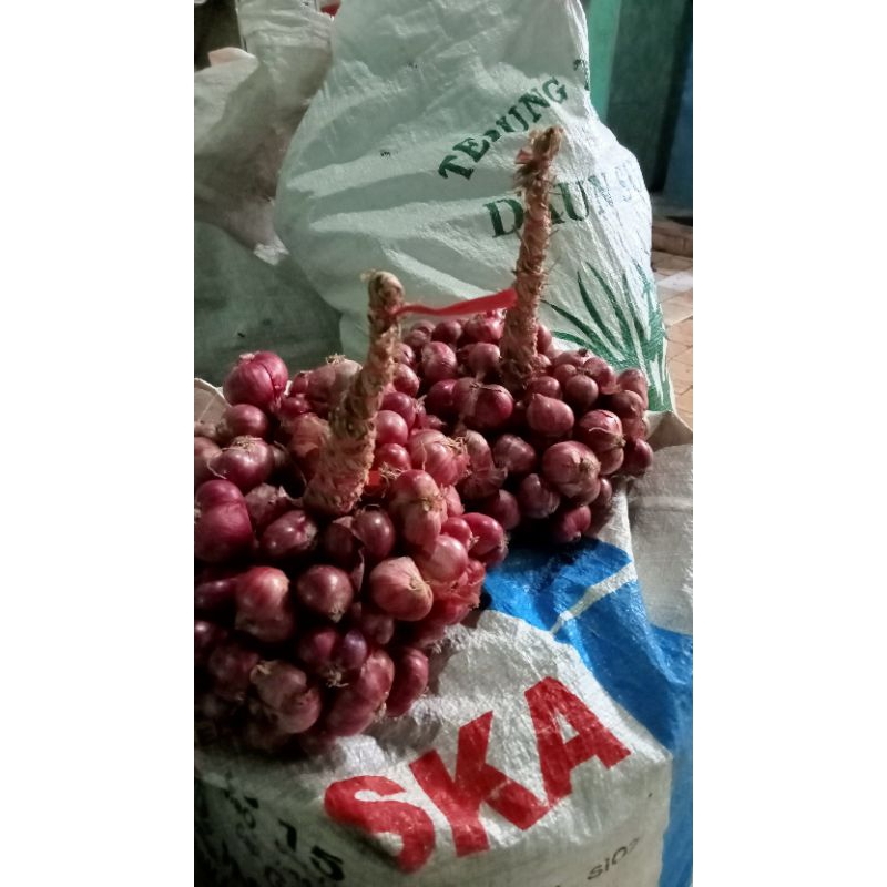 

bawang merah kering 1 kg