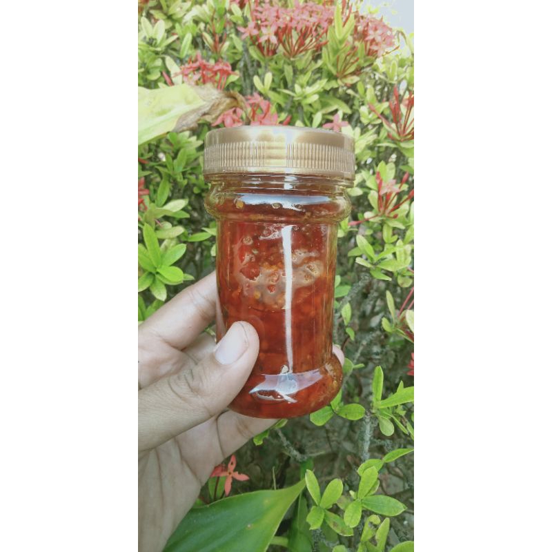 

Sambalado terasi
