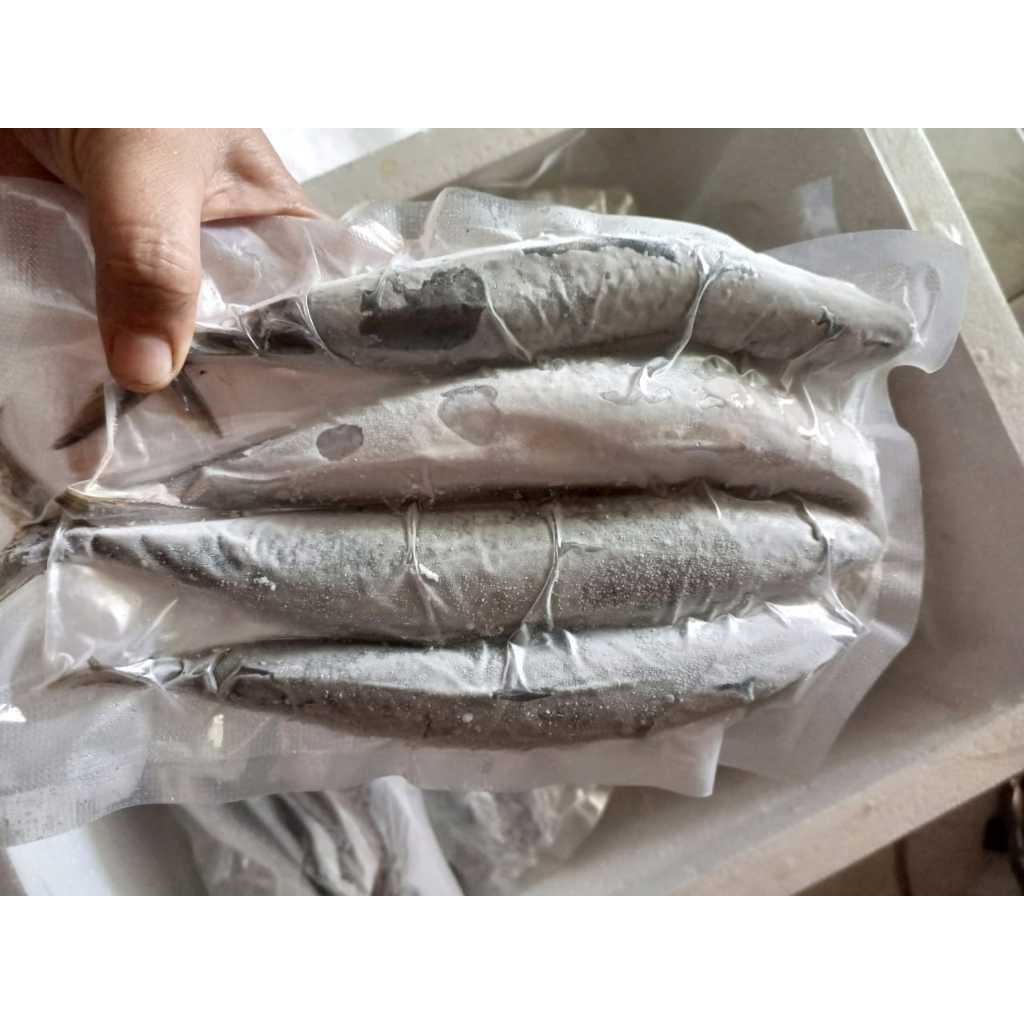 FishFirst - Ikan Lisong Fresh Frozen / Ikan Lisong Beku Kapal Segar