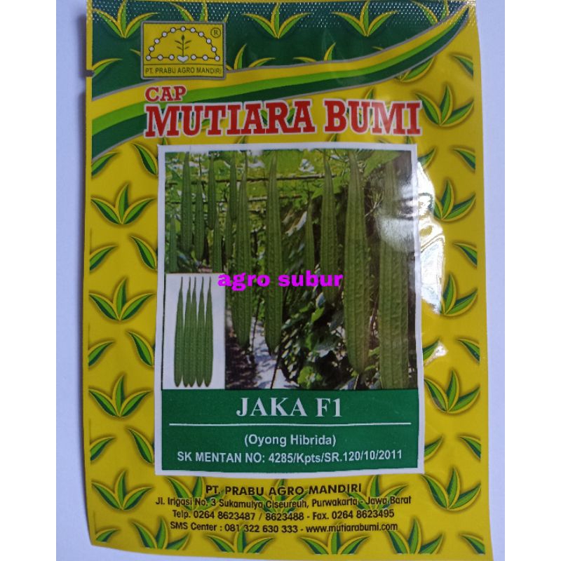 Benih gambas oyong JAKA F1 isi 10 gram cap Mutiara Bumi