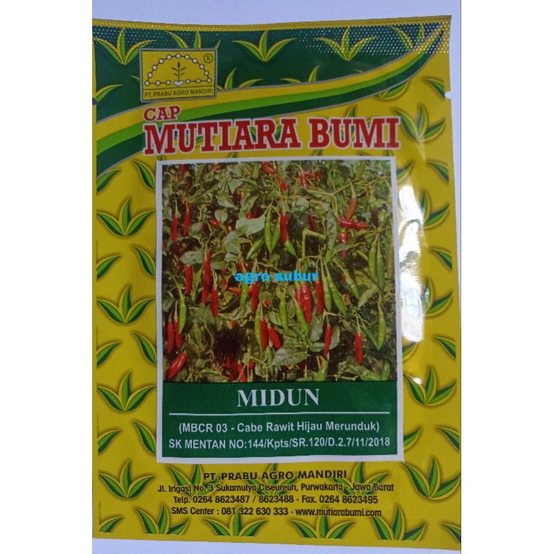 Benih cabe rawit hijau MIDUN isi 10gram cap Mutiara Bumi