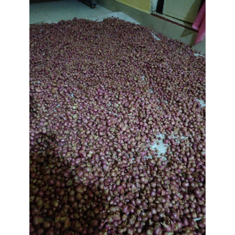 

Bawang Merah 1Kg