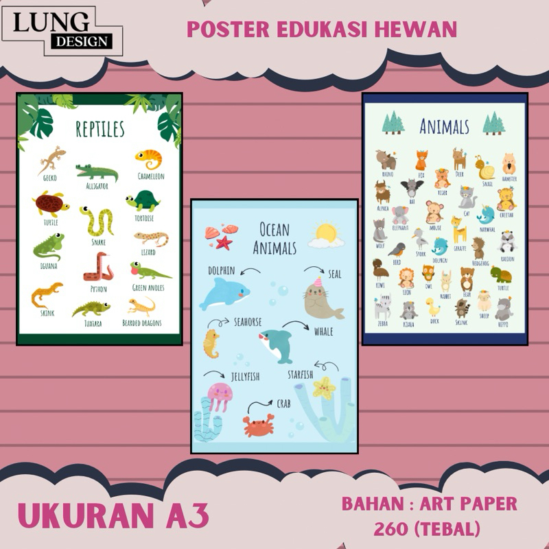 PAKET Poster Pendidikan Anak Usia Sekolah Pendidikan Anak SD  EDUKASI JENIS HEWAN / poster Edukasi A