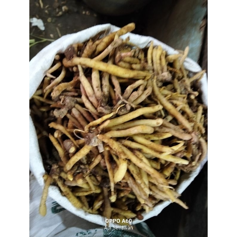

Temu Kunci Fresh