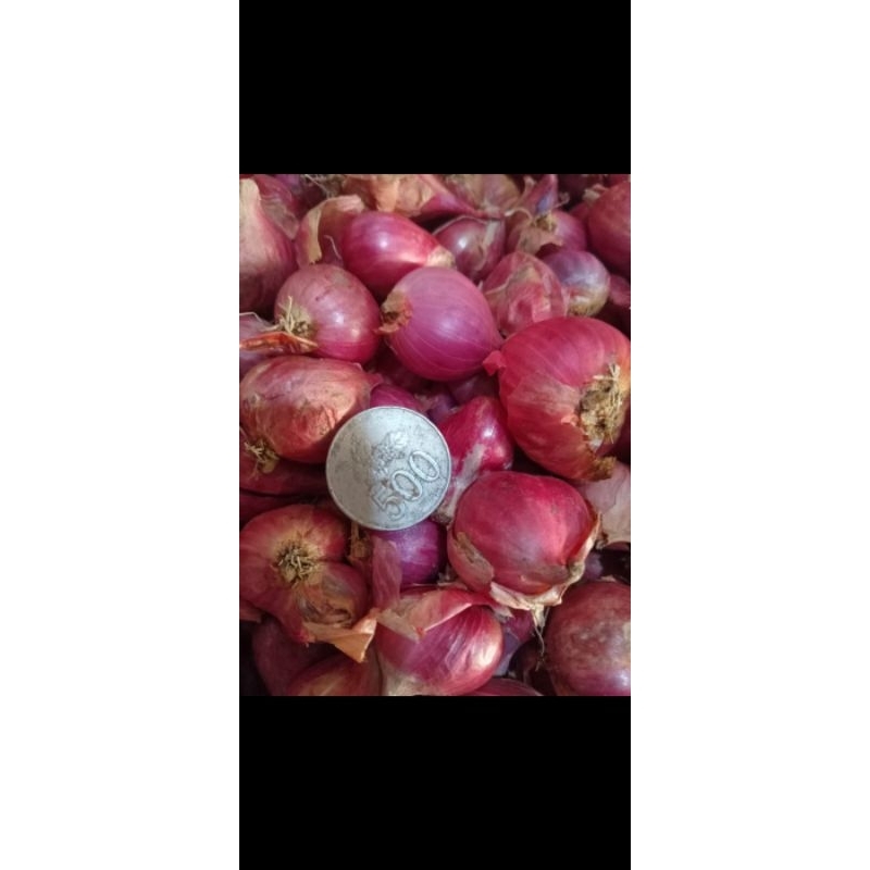 

bawang merah