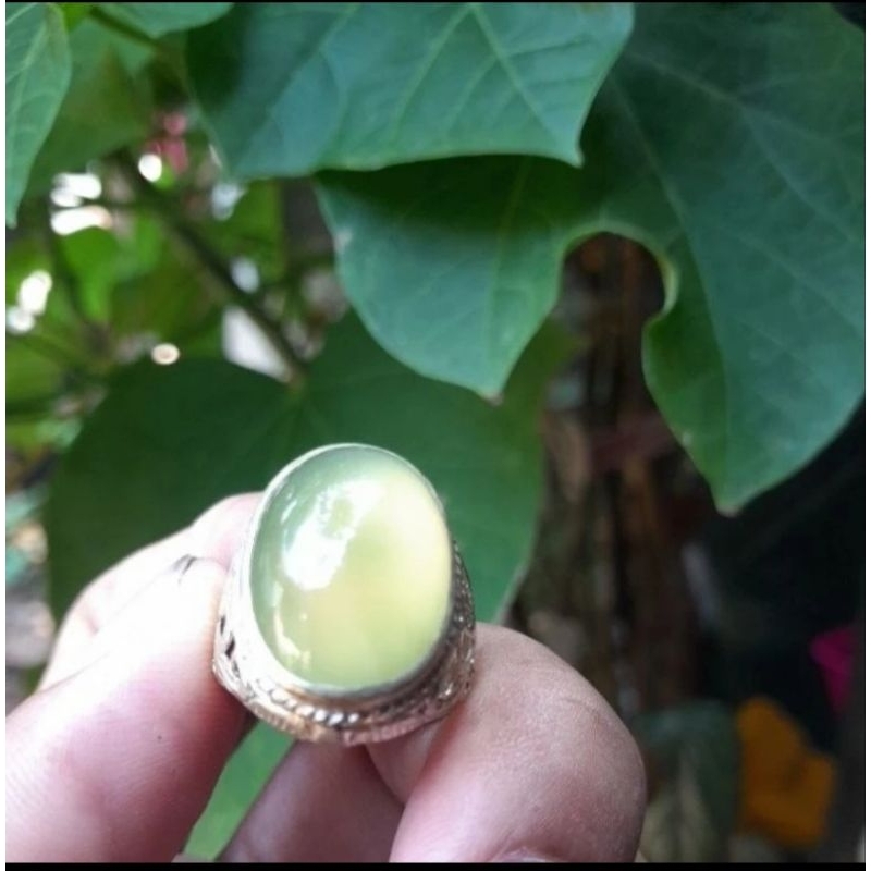 Idocrase Bio solar Aceh