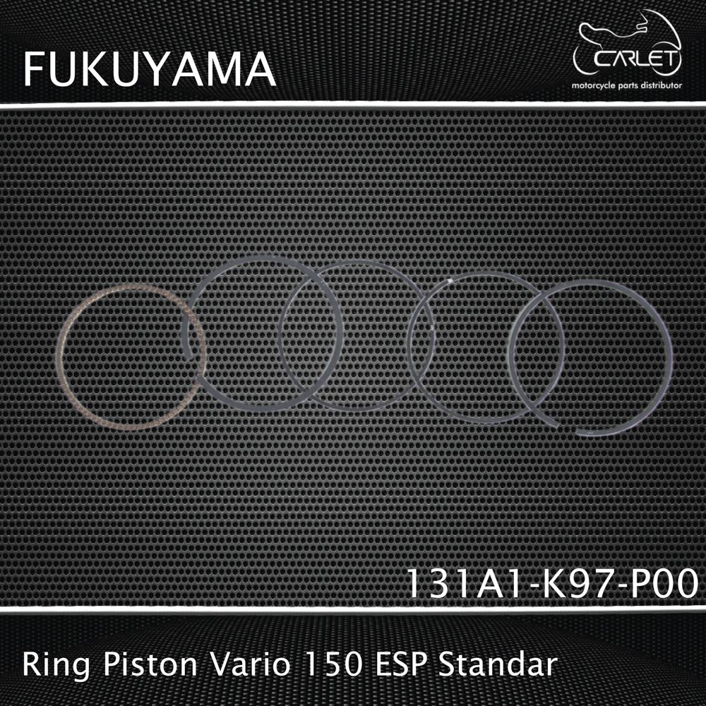 Fukuyama Ring Seher / Ring Piston Vario 150 ESP