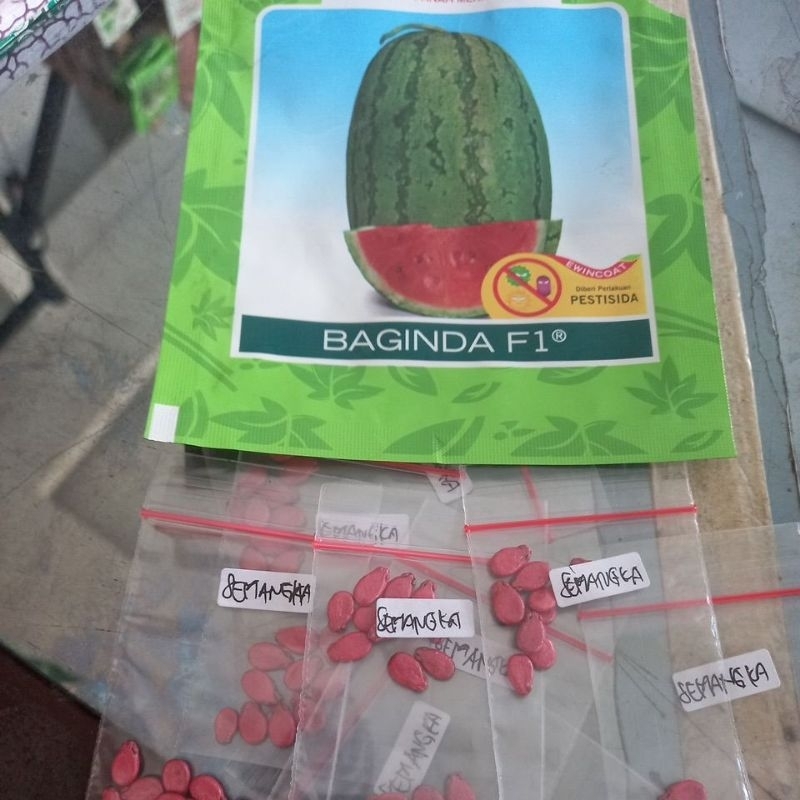 Benih Semangka Baginda Repacking Isi 10 Biji