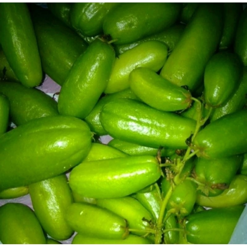 

buah belimbing sayur 250gr