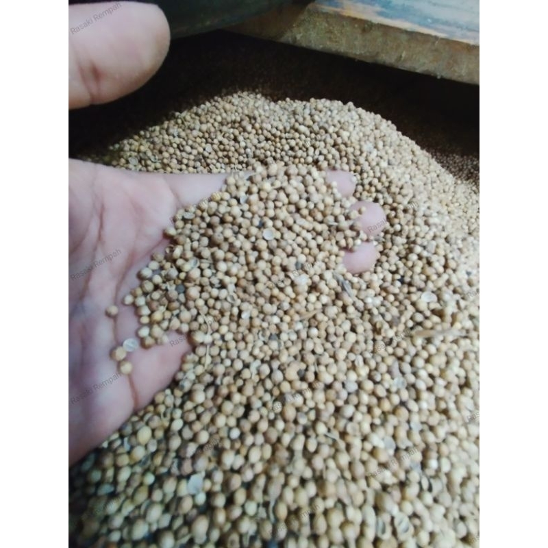 

Ketumbar Bahan / Ketumbar Asli / Ketumbar Hitam / Ketumbar Kesehatan 1 Kg