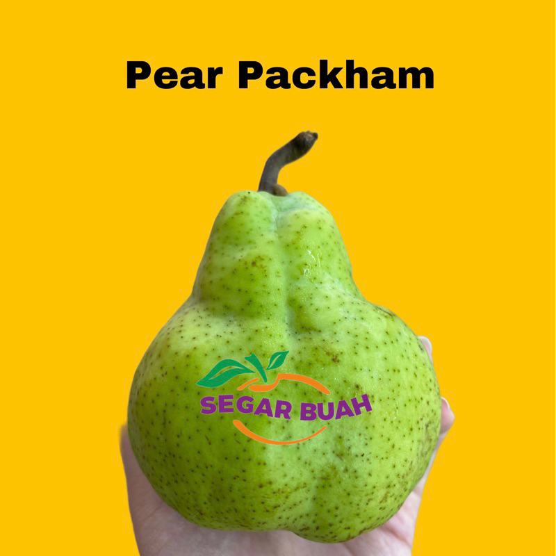 

Pir Jambu / Pear Packham 500 gr / 1000 gr (1 kg)