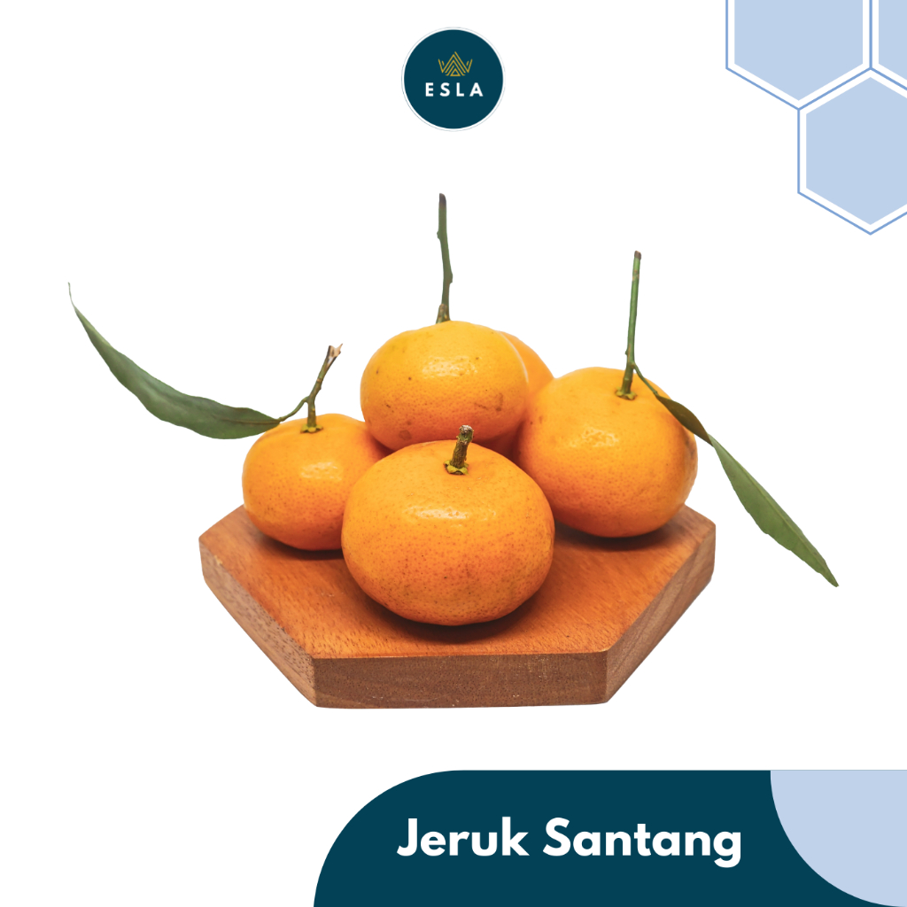 

JERUK SANTANG I Buah Fresh dan Premium - ESLA