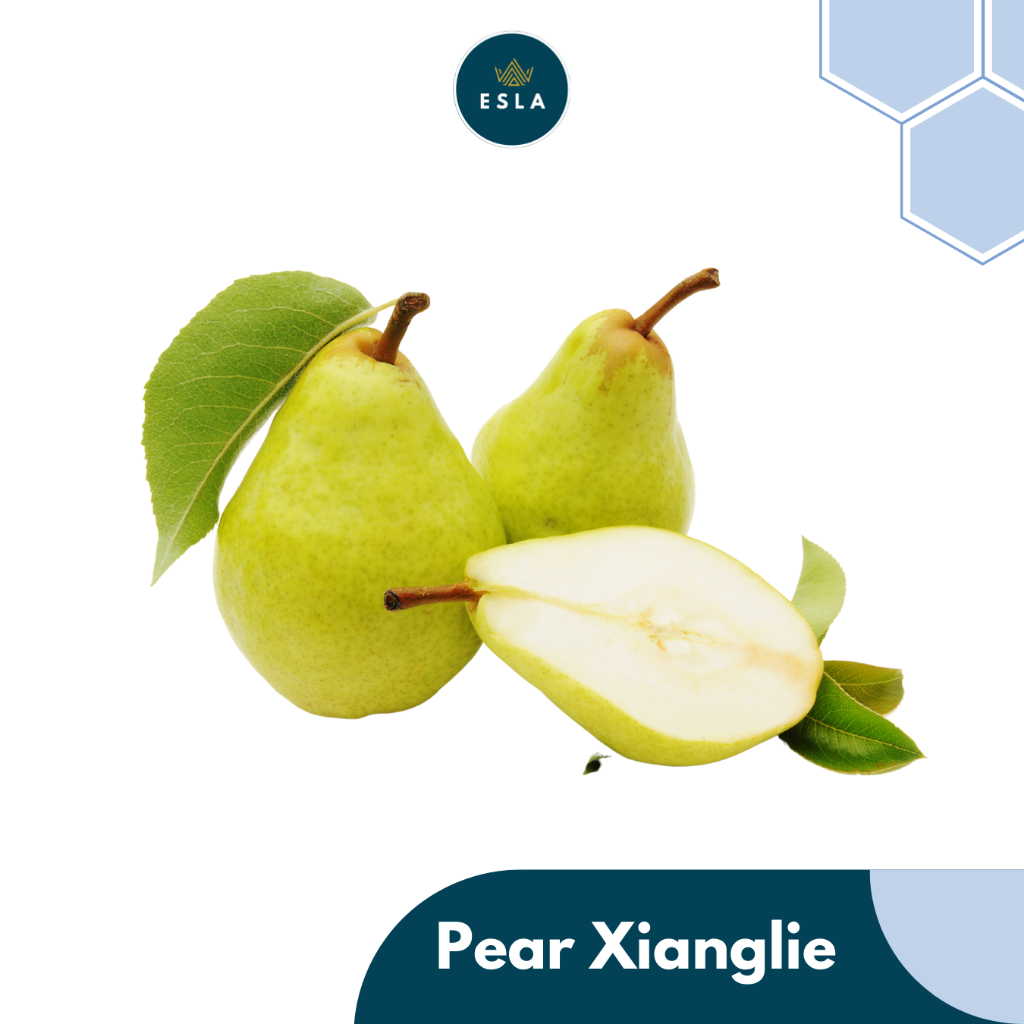 

PEAR XIANGLIE I Buah Fresh dan Premium - ESLA