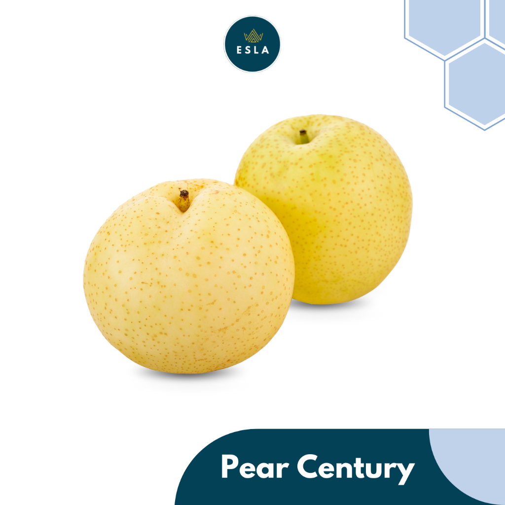 

PEAR CENTURY I Buah Fresh dan Premium - ESLA