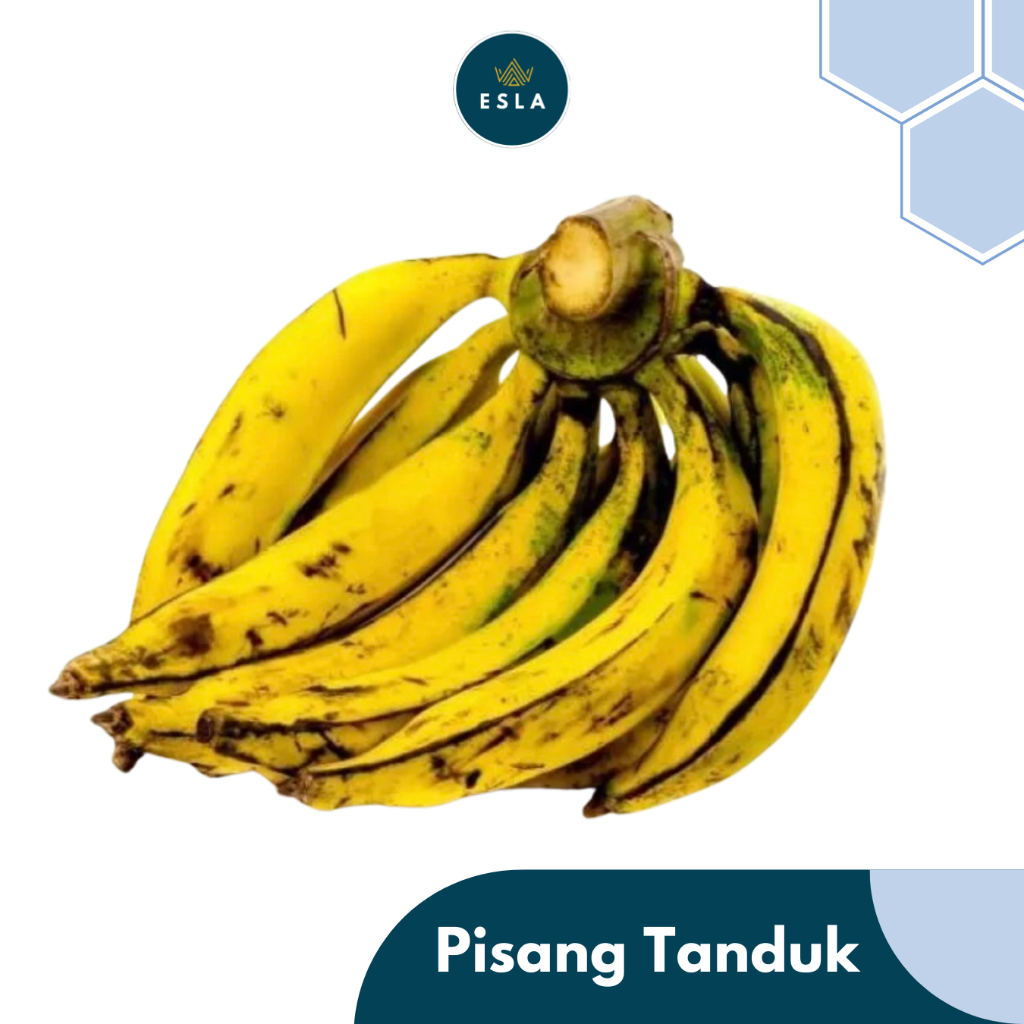 

PISANG TANDUK I Buah Fresh dan Premium - ESLA