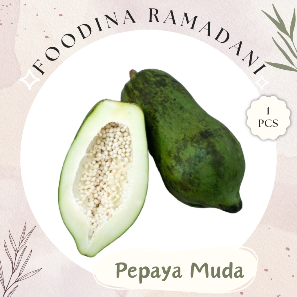 

PEPAYA MUDA Sayur - Young Pepaya Fresh [ Size S ] Harga Per PCS