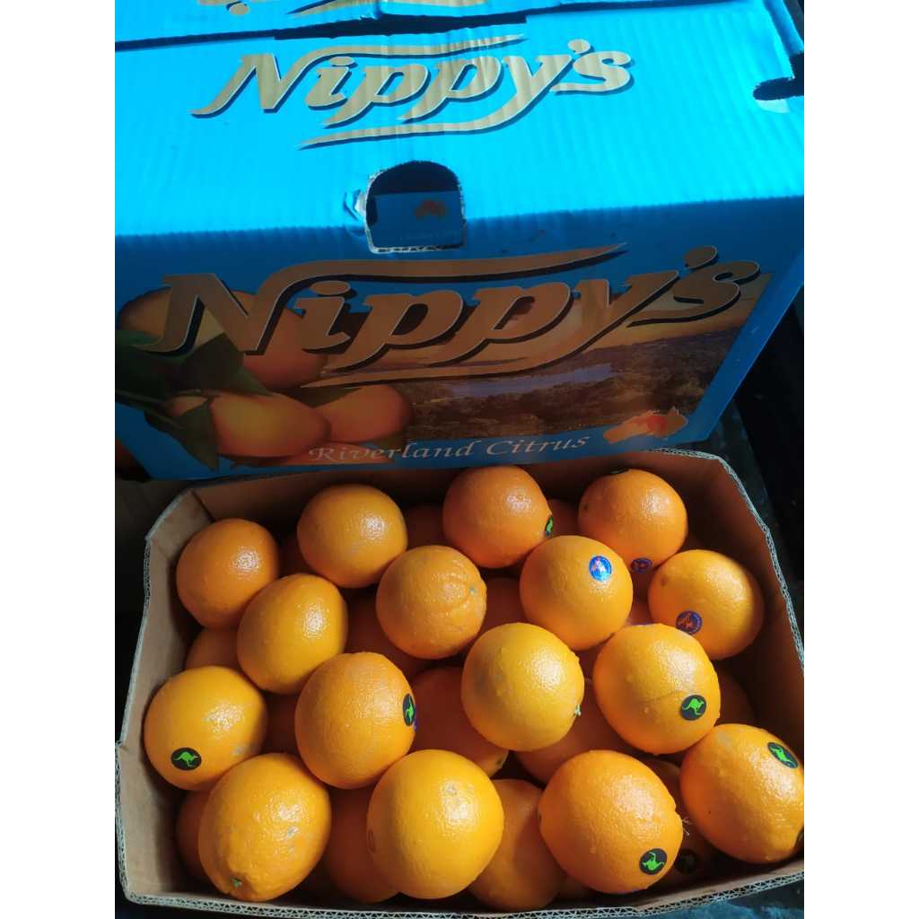 

JERUK NAVEL AUSSIE 900G-1.000G