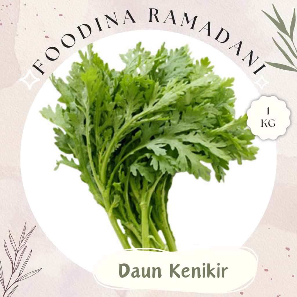 

DAUN KENIKIR Ulam Raja - Kenikir Leaf Fresh [ Berat 1.000gr ] Harga Per KG