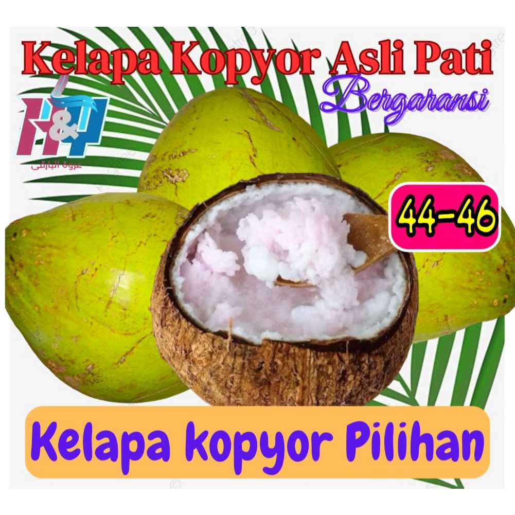 

Buah Kelapa Kopyor [size : 44-46] Asli Pati