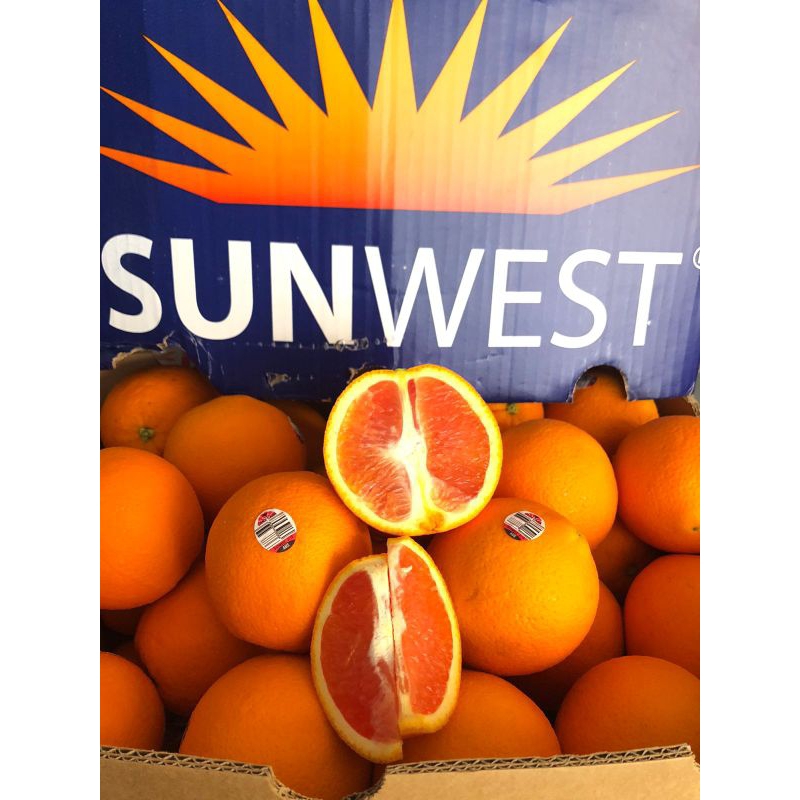 

Jeruk Cara Cara Aust Sunwest Blue Size 64 /kg