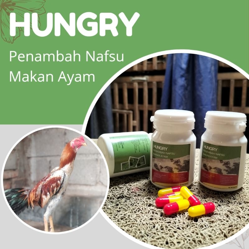 PENAMBAH NAFSU MAKAN AYAM JAGO ISI 50