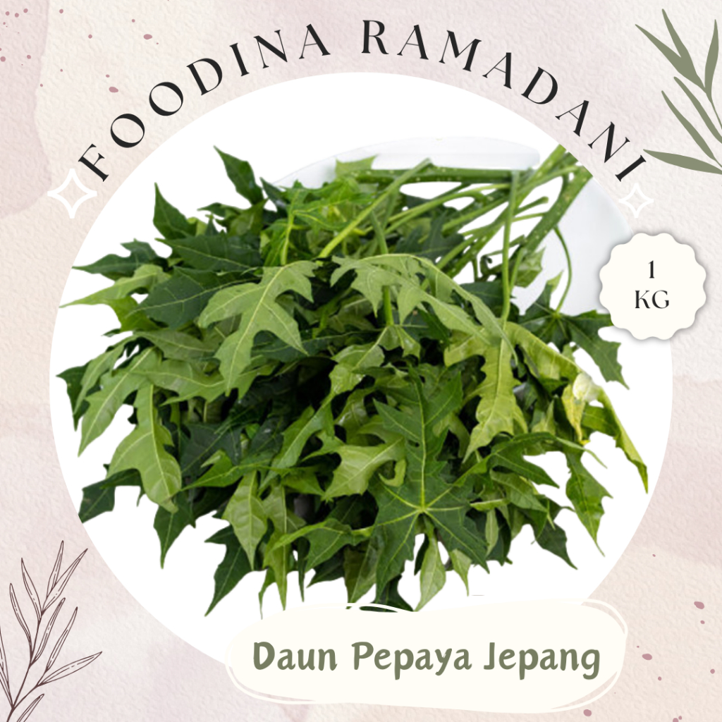 

DAUN PEPAYA Jepang - Japanese Pepaya Leaf Fresh [ Berat 1.000gr ] Harga Per KG