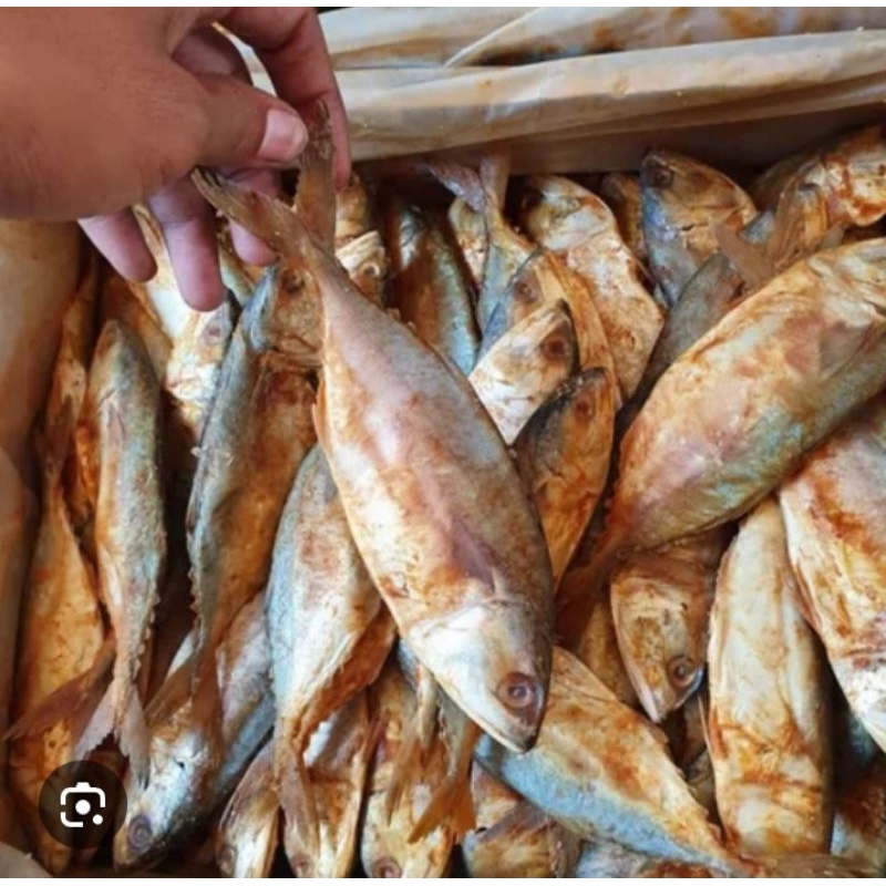 

ikan asin peda kembung