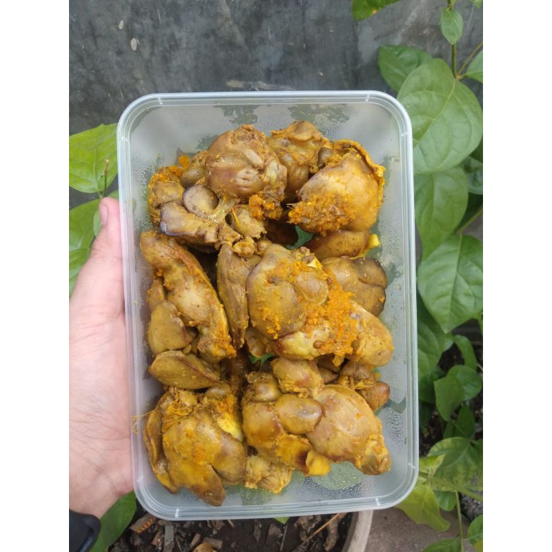 

ATI AMPELA.UNGKEP isi 10 pasang Frozen food Halal