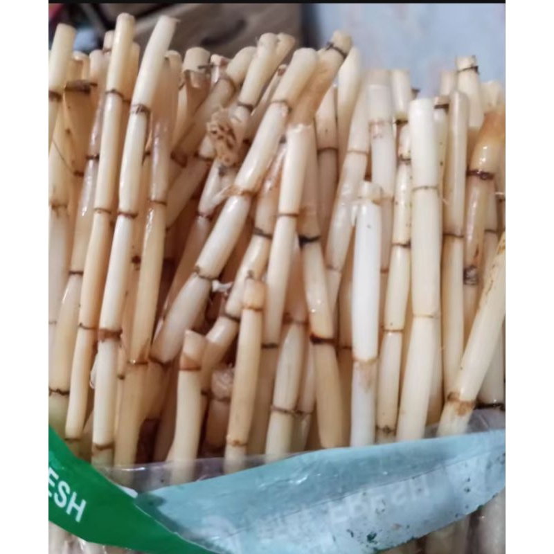 

akar alang alang segar 1kg