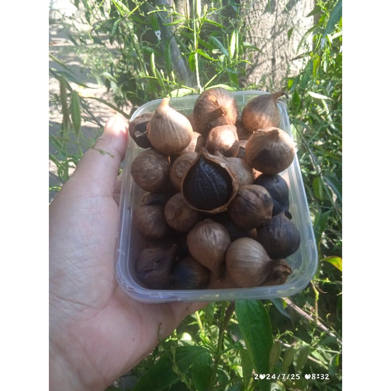 

Black Garlic / bawang hitam tunggal