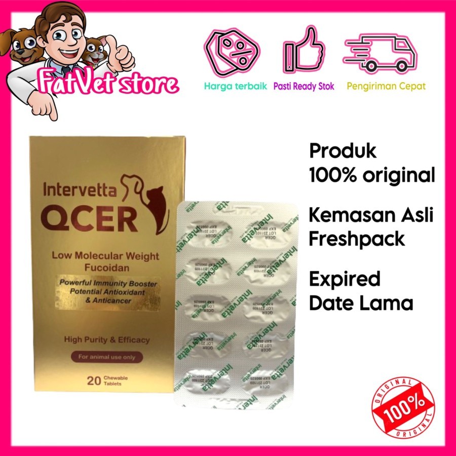 Intervetta qcer obat tablet kanker tumor anjing kucing - per strip