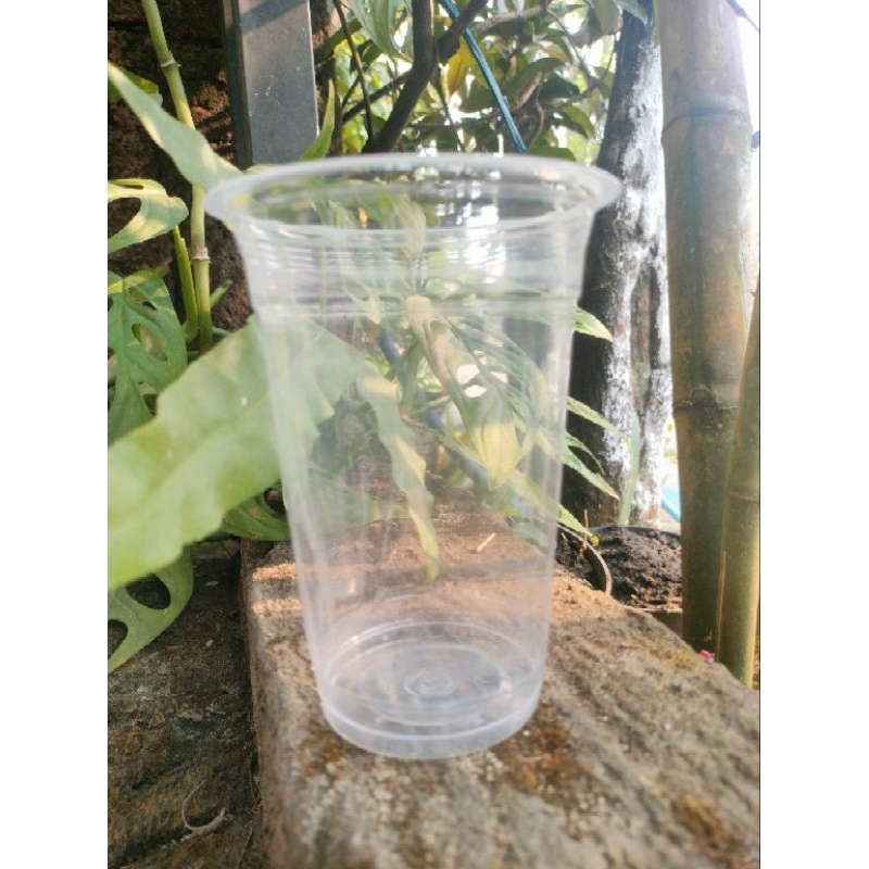 Gelas Plastik Cup Datar Merk Merak atau Royal 10oz 12oz 14oz 16oz 18oz 22oz