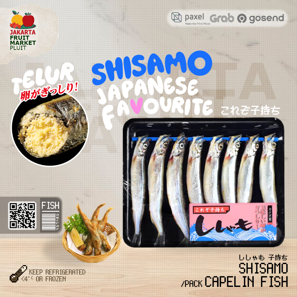 

IKAN SHISHAMO Fish Premium capelin / kapelin Full telur Frozen Shisamo egg Japan jepang ししゃも 子持ち