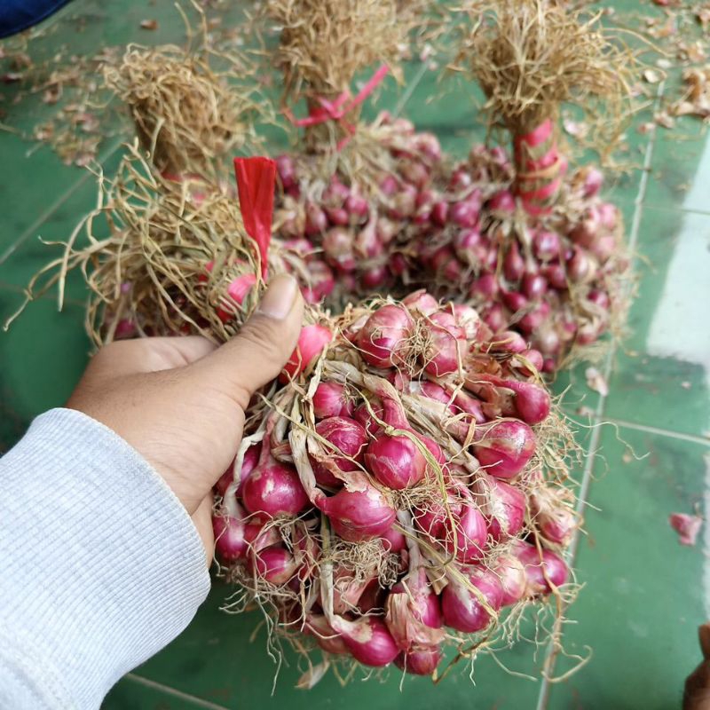 

Bawang merah Probolinggo daun kering 1kg