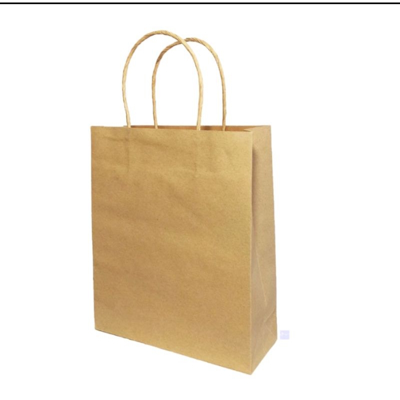 

100 PCS PAPERBAG POLOS UKURAN 21X17X5,5