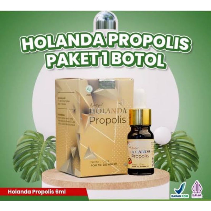 HOLANDA PROPOLIS