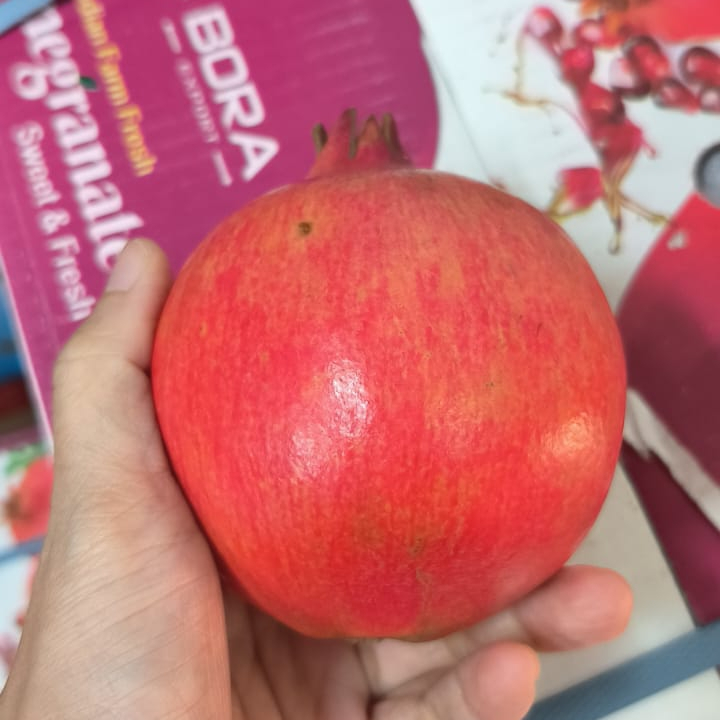 

Buah Delima Pomegranate India Manis 1 Buah