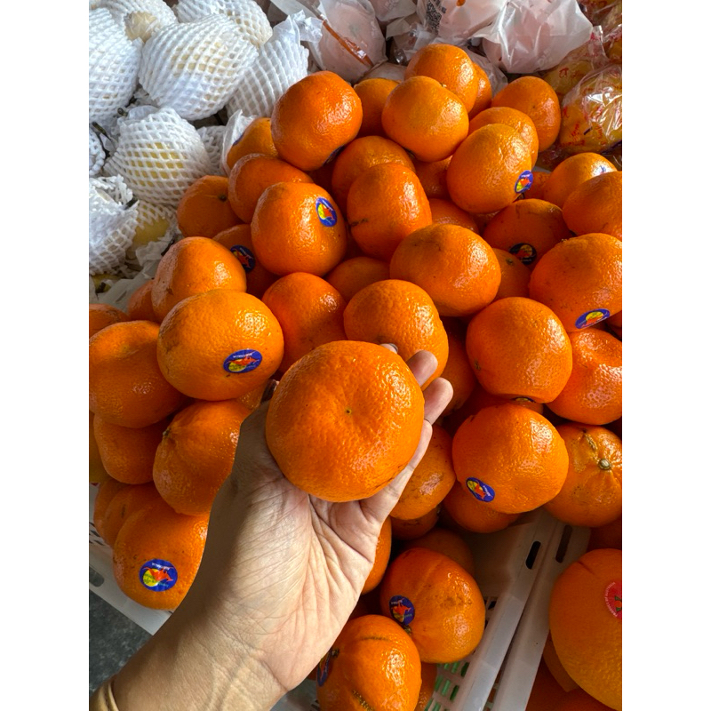 

BUAH jeruk murcot 1 kg