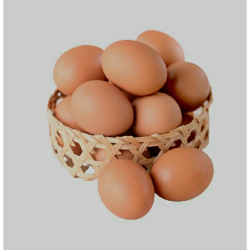 

telur ayam